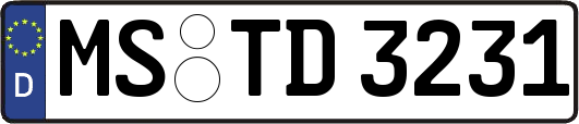 MS-TD3231