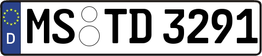 MS-TD3291