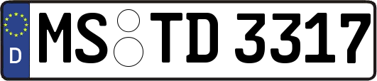 MS-TD3317
