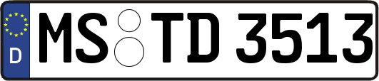 MS-TD3513