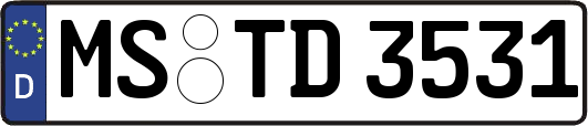 MS-TD3531
