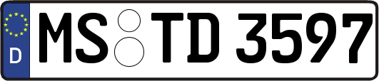MS-TD3597