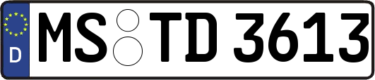 MS-TD3613