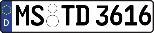 MS-TD3616