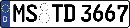 MS-TD3667