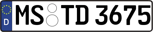MS-TD3675