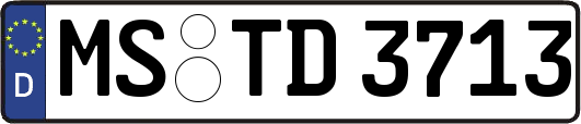 MS-TD3713