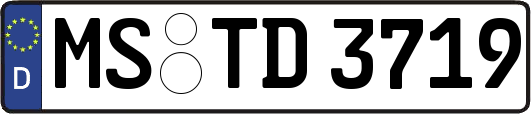 MS-TD3719