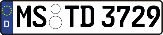 MS-TD3729