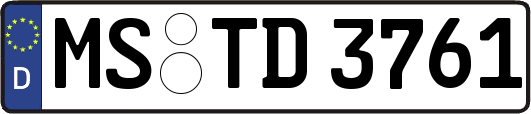 MS-TD3761