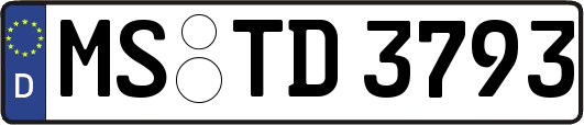 MS-TD3793
