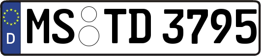 MS-TD3795