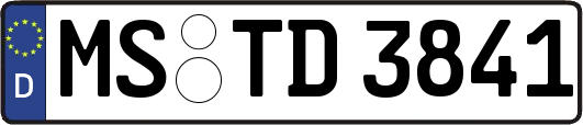 MS-TD3841