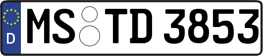 MS-TD3853
