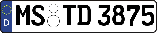 MS-TD3875