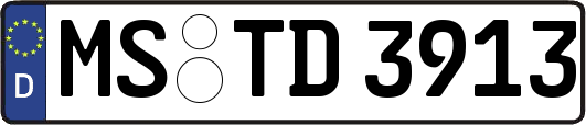 MS-TD3913