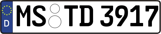 MS-TD3917