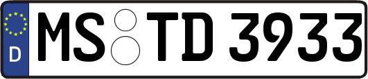 MS-TD3933