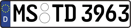 MS-TD3963