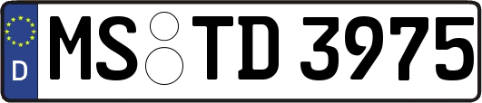 MS-TD3975