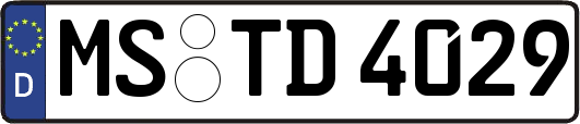 MS-TD4029