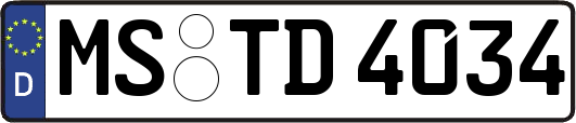 MS-TD4034