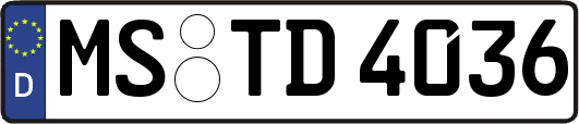 MS-TD4036