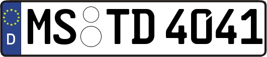 MS-TD4041