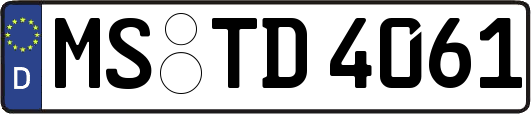 MS-TD4061