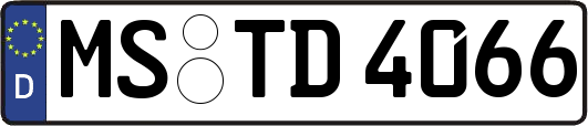 MS-TD4066