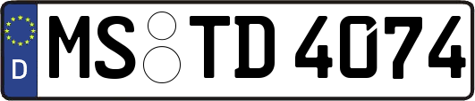MS-TD4074
