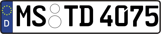 MS-TD4075