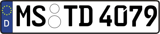 MS-TD4079