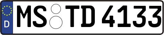 MS-TD4133