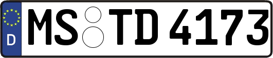 MS-TD4173