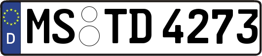 MS-TD4273