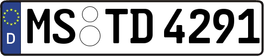 MS-TD4291