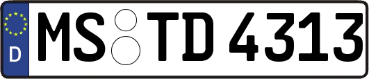 MS-TD4313
