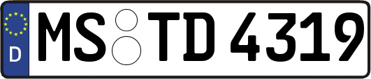 MS-TD4319