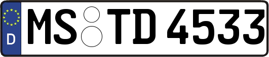 MS-TD4533