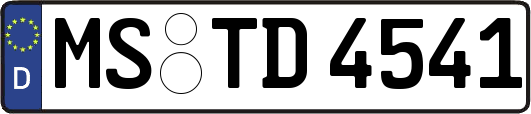 MS-TD4541