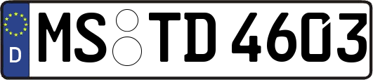 MS-TD4603