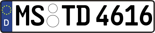 MS-TD4616