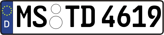 MS-TD4619