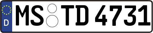 MS-TD4731
