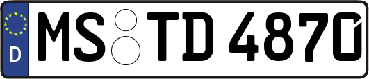MS-TD4870