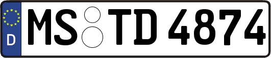 MS-TD4874