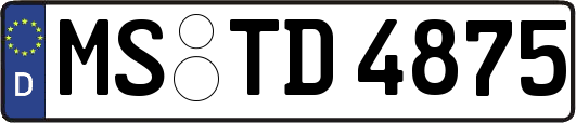 MS-TD4875