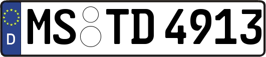 MS-TD4913