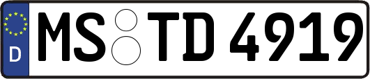 MS-TD4919